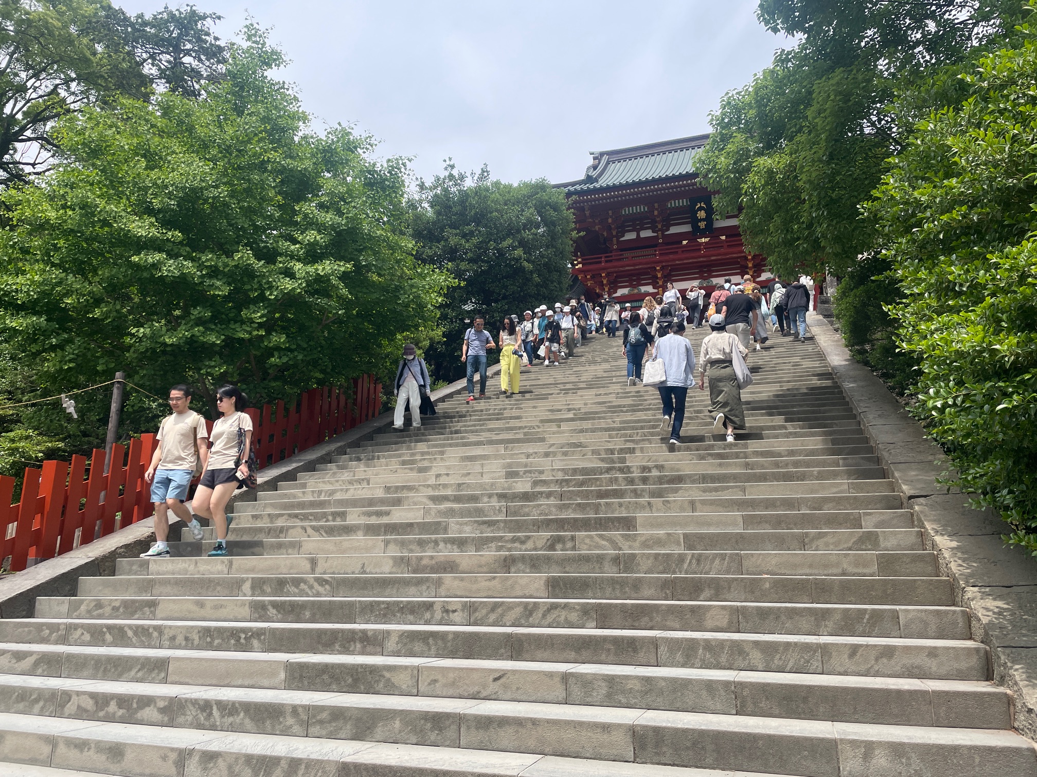 240619　鎌倉「鶴岡八幡宮」4